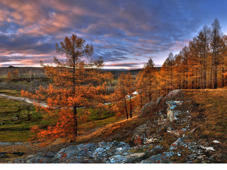Осень в России / Otono en Rusia 